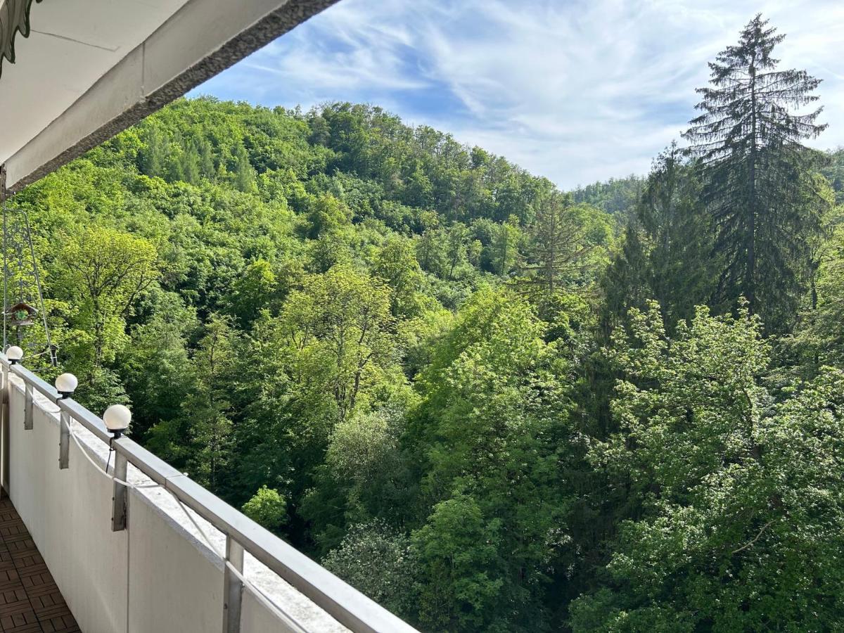 Апартаменти Wald-Idyll: Urlaub Im Gruenen Бад-Гарцбург Екстер'єр фото