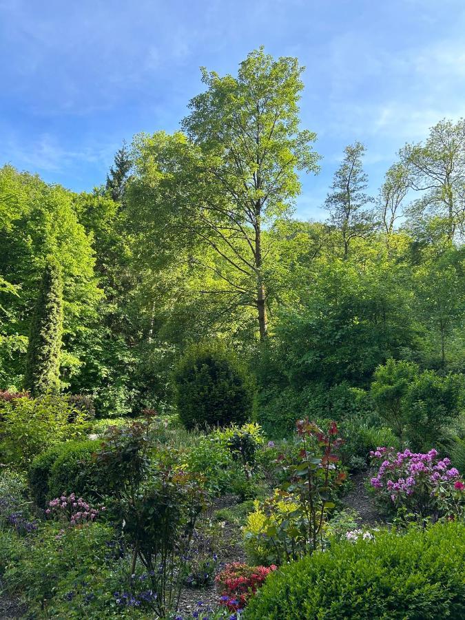 Апартаменти Wald-Idyll: Urlaub Im Gruenen Бад-Гарцбург Екстер'єр фото